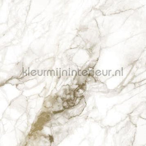 Kek Amsterdam Gold Metallics MW-058 | Bestellen bij https://www.kleurmijninterieur.nl/