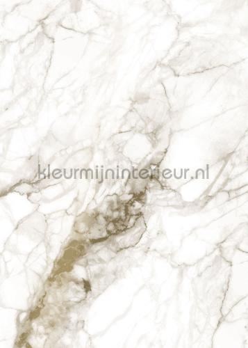 Kek Amsterdam Gold Metallics MW-058 | Bestellen bij https://www.kleurmijninterieur.nl/