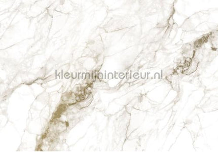 Kek Amsterdam Gold Metallics MW-060 | Bestellen bij https://www.kleurmijninterieur.nl/
