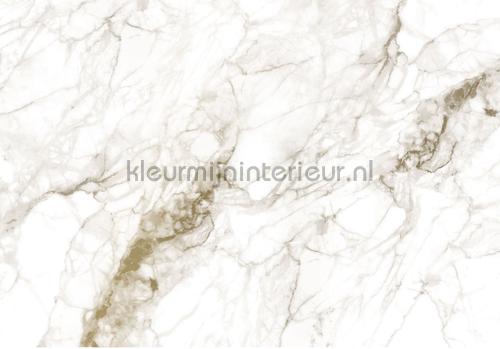 Kek Amsterdam Gold Metallics MW-060 | Bestellen bij https://www.kleurmijninterieur.nl/