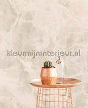 Eijffinger Wallpower Favourites 309052 | Bestellen bij https://www.kleurmijninterieur.nl/