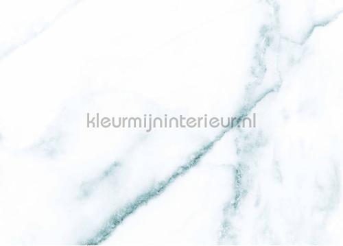 Kek Amsterdam Marmer wp-553 | Bestellen bij https://www.kleurmijninterieur.nl/