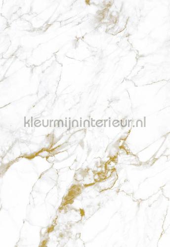 Kek Amsterdam Marmer wp-554 | Bestellen bij https://www.kleurmijninterieur.nl/
