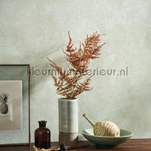 Casadeco Nicaragua NICA86420242 | Bestellen bij https://www.kleurmijninterieur.nl/