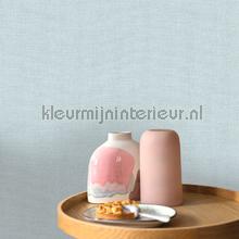 Caselio Jute JTE104016442 | Bestellen bij https://www.kleurmijninterieur.nl/