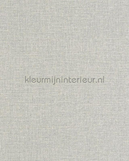 Caselio Jute JTE104017120 | Bestellen bij https://www.kleurmijninterieur.nl/