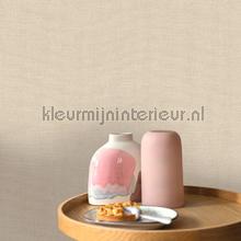 Caselio Jute JTE104011230 | Bestellen bij https://www.kleurmijninterieur.nl/
