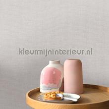Caselio Jute JTE104019156 | Bestellen bij https://www.kleurmijninterieur.nl/