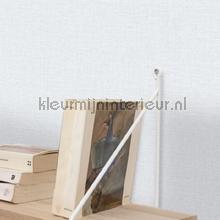 Caselio Jute JTE104019000 | Bestellen bij https://www.kleurmijninterieur.nl/