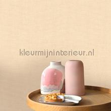 Caselio Jute JTE104012780 | Bestellen bij https://www.kleurmijninterieur.nl/