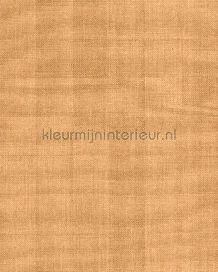 Caselio Jute JTE104013000 | Bestellen bij https://www.kleurmijninterieur.nl/