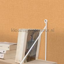 Caselio Jute JTE104013000 | Bestellen bij https://www.kleurmijninterieur.nl/