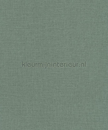 Caselio Jute JTE104017789 | Bestellen bij https://www.kleurmijninterieur.nl/