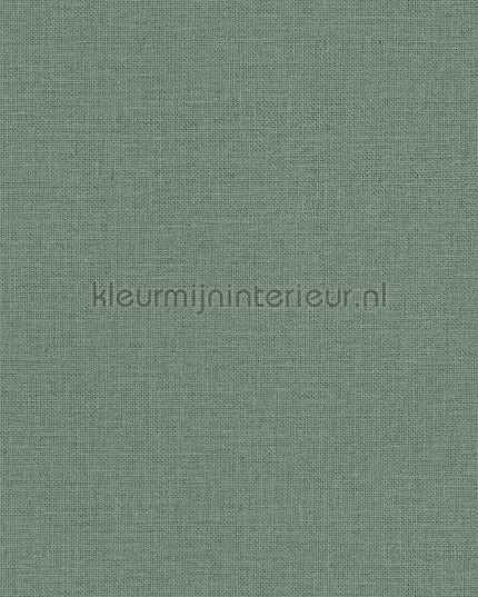 Caselio Jute JTE104017789 | Bestellen bij https://www.kleurmijninterieur.nl/