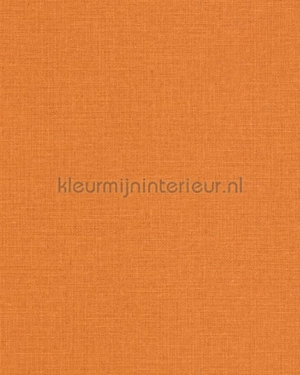 Caselio Jute JTE104013139 | Bestellen bij https://www.kleurmijninterieur.nl/