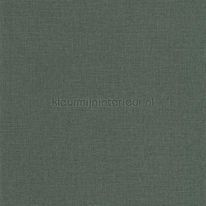 Caselio Jute JTE104017850 | Bestellen bij https://www.kleurmijninterieur.nl/