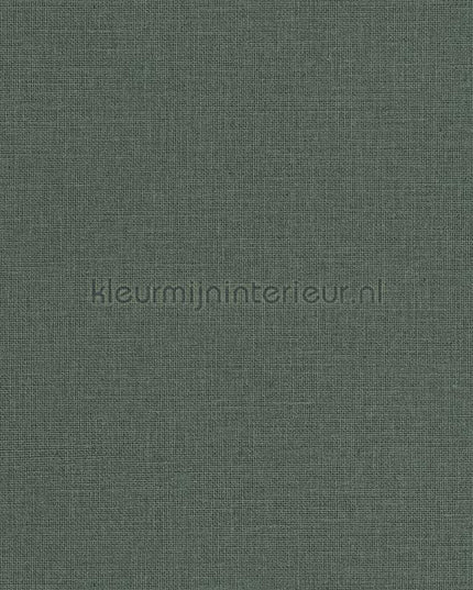 Caselio Jute JTE104017850 | Bestellen bij https://www.kleurmijninterieur.nl/