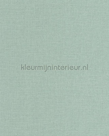 Caselio Jute JTE104017569 | Bestellen bij https://www.kleurmijninterieur.nl/