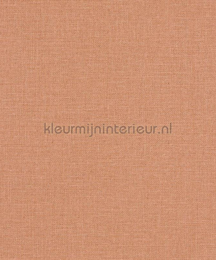 Caselio Jute JTE104014020 | Bestellen bij https://www.kleurmijninterieur.nl/