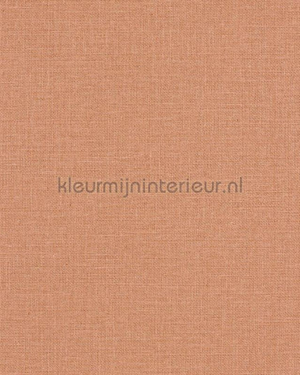 Caselio Jute JTE104014020 | Bestellen bij https://www.kleurmijninterieur.nl/