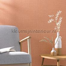 Caselio Jute JTE104014020 | Bestellen bij https://www.kleurmijninterieur.nl/