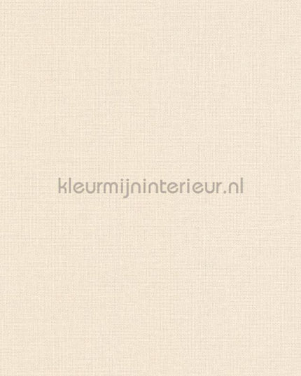 Caselio Jute JTE104011050 | Bestellen bij https://www.kleurmijninterieur.nl/