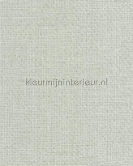 Caselio Jute JTE104017000 | Bestellen bij https://www.kleurmijninterieur.nl/