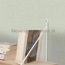 Caselio Jute JTE104017000 | Bestellen bij https://www.kleurmijninterieur.nl/
