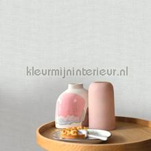 Caselio Jute JTE104017459 | Bestellen bij https://www.kleurmijninterieur.nl/