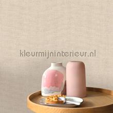 Caselio Jute JTE104017230 | Bestellen bij https://www.kleurmijninterieur.nl/