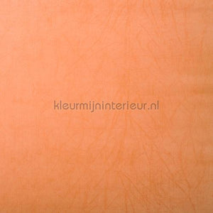 Rodeka Innovations gpw-ivsd-121 | Bestellen bij https://www.kleurmijninterieur.nl/