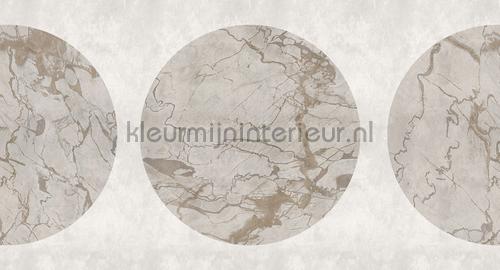 AS Creation Walls by Patel 3 DD122356 | Bestellen bij https://www.kleurmijninterieur.nl/
