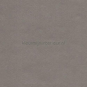Benif Metalen rp46 | Bestellen bij https://www.kleurmijninterieur.nl/