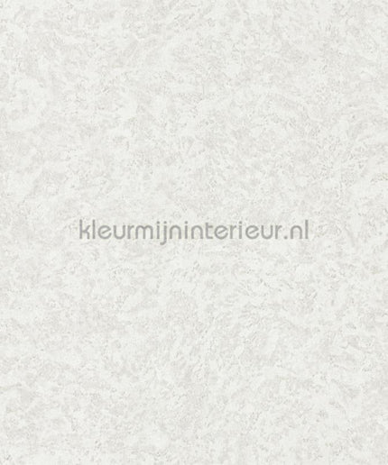 Dutch First Class Roberto Cavalli 8 19052 | Bestellen bij https://www.kleurmijninterieur.nl/