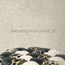 Dutch First Class Roberto Cavalli 8 19052 | Bestellen bij https://www.kleurmijninterieur.nl/