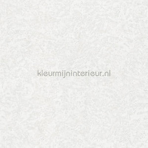 Dutch First Class Roberto Cavalli 8 19056 | Bestellen bij https://www.kleurmijninterieur.nl/