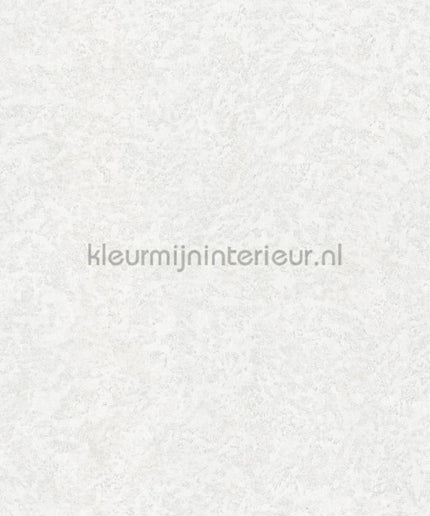 Dutch First Class Roberto Cavalli 8 19056 | Bestellen bij https://www.kleurmijninterieur.nl/