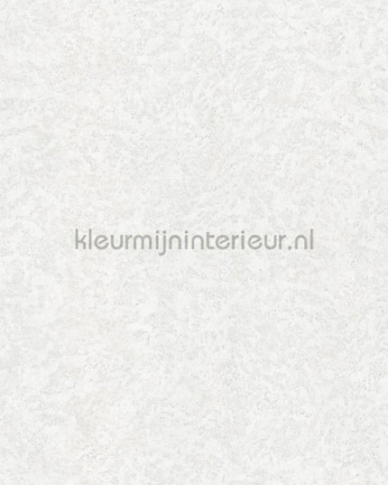 Dutch First Class Roberto Cavalli 8 19056 | Bestellen bij https://www.kleurmijninterieur.nl/