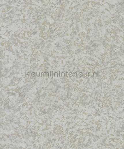 Dutch First Class Roberto Cavalli 8 19057 | Bestellen bij https://www.kleurmijninterieur.nl/