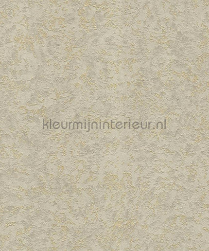Dutch First Class Roberto Cavalli 8 19061 | Bestellen bij https://www.kleurmijninterieur.nl/