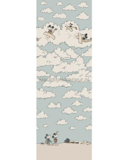 Sanderson Disney HOME x Sanderson DDIW217292 | Bestellen bij https://www.kleurmijninterieur.nl/
