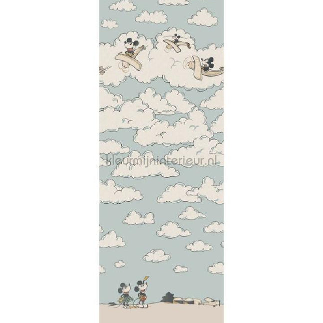 Sanderson Disney HOME x Sanderson DDIW217292 | Bestellen bij https://www.kleurmijninterieur.nl/