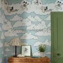 Sanderson Disney HOME x Sanderson DDIW217292 | Bestellen bij https://www.kleurmijninterieur.nl/