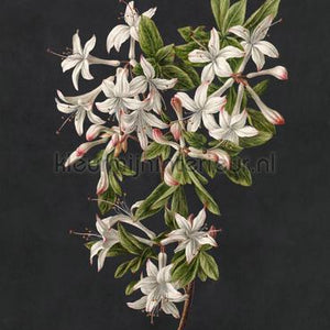 AS Creation Walls by Patel 3 DD122196 | Bestellen bij https://www.kleurmijninterieur.nl/