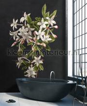 AS Creation Walls by Patel 3 DD122196 | Bestellen bij https://www.kleurmijninterieur.nl/