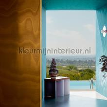 Elitis Moire RM 1026 27 | Bestellen bij https://www.kleurmijninterieur.nl/