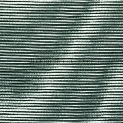 Elitis Moire RM 1026 42 | Bestellen bij https://www.kleurmijninterieur.nl/