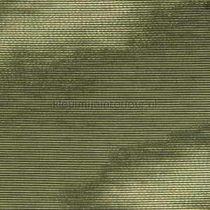 Elitis Moire RM 1026 62 | Bestellen bij https://www.kleurmijninterieur.nl/