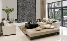 Atlas Wallcoverings Excess 8046-2 | Bestellen bij https://www.kleurmijninterieur.nl/