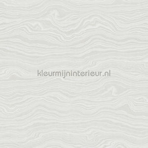 Hookedonwalls New Wave 24845 | Bestellen bij https://www.kleurmijninterieur.nl/